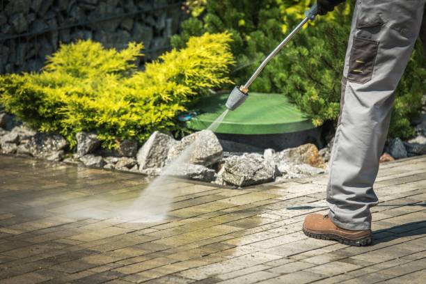Best Vinyl Siding Pressure Washing in Billington Heights, NY