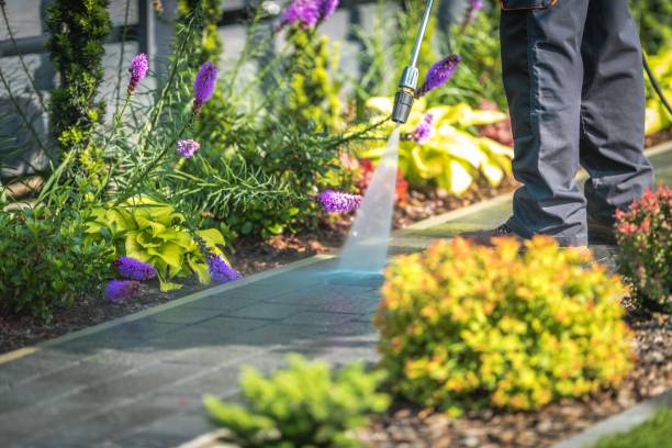 Billington Heights, NY Pressure Washing Services Company