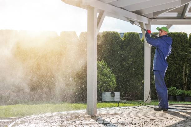 Best Soft Washing for Delicate Surfaces in Billington Heights, NY