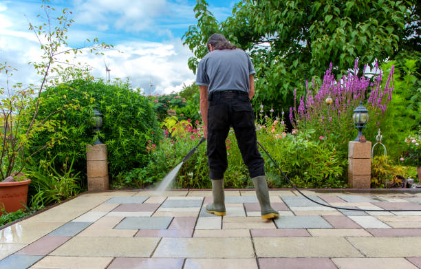 Best Roof Cleaning and Mildew Removal in Billington Heights, NY